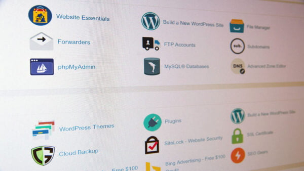 wordpress cms